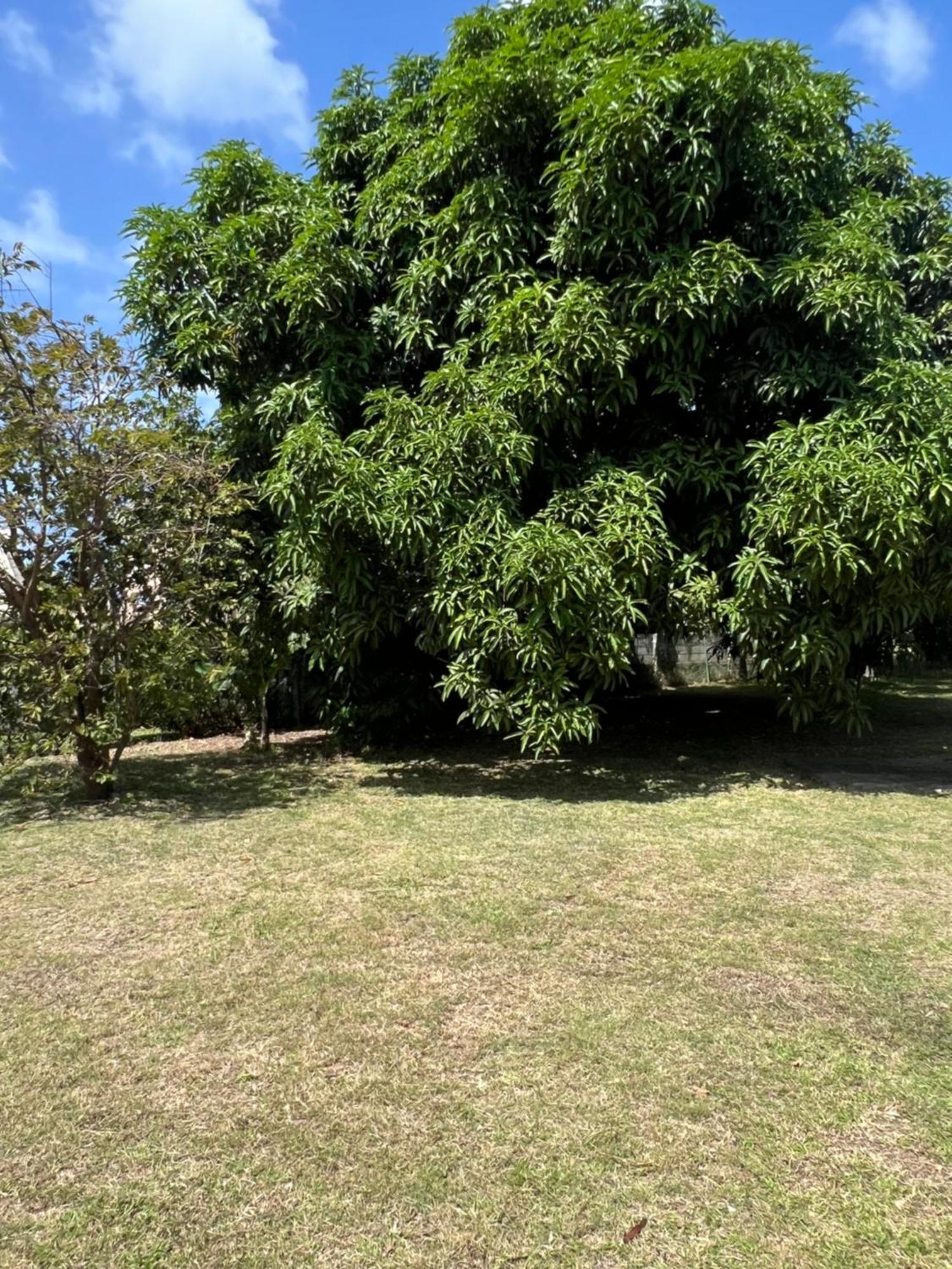 Entire Home - West Coast Barbados Saint Peter Dış mekan fotoğraf